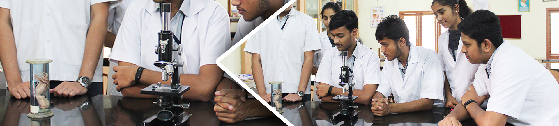 vijaya vittala innerpage banner