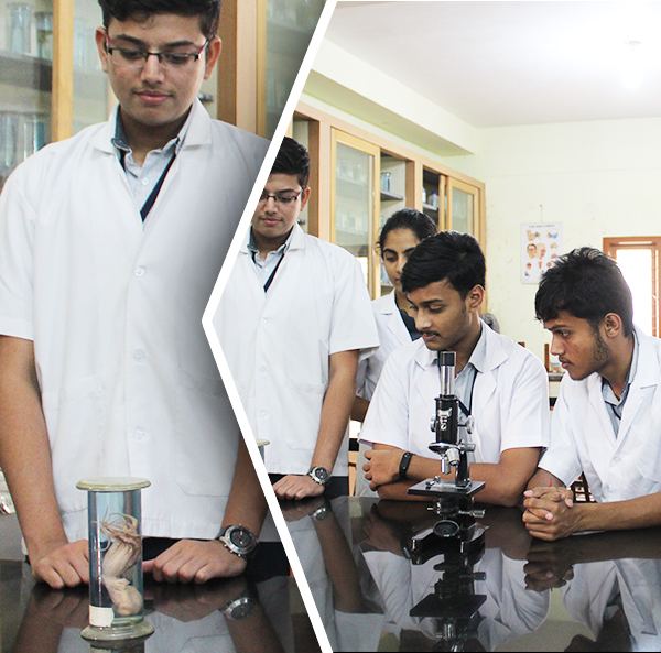 vijaya vittala mobgeneralrules banner